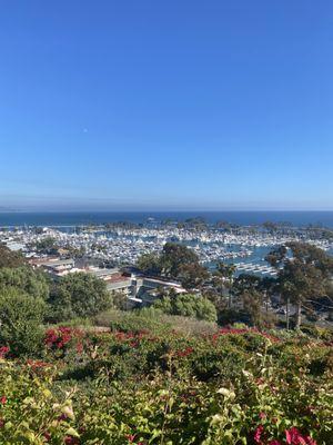 View of the marina