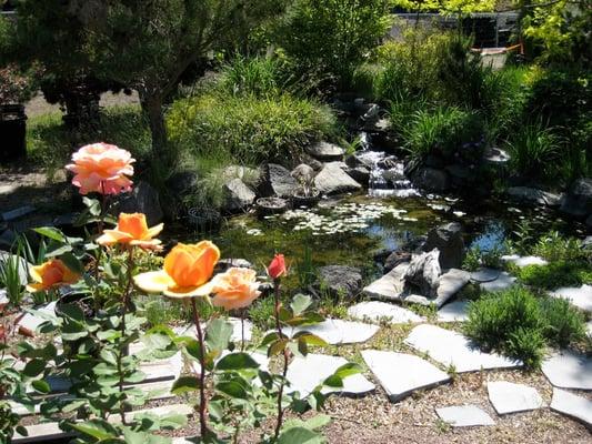 Come on in and relax by the pond.