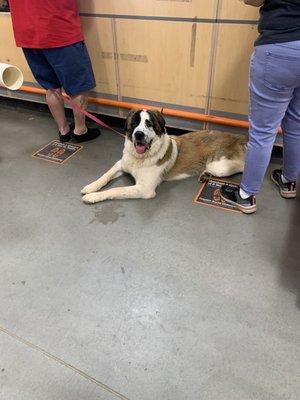 Home Services at the Home Depot