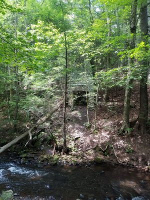 Bear Hole Dam