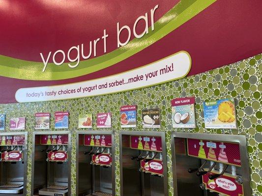 Yogurt bar close-up. Look at all those flavors!