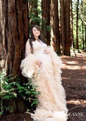 Maternity Portraits with Client Closet access