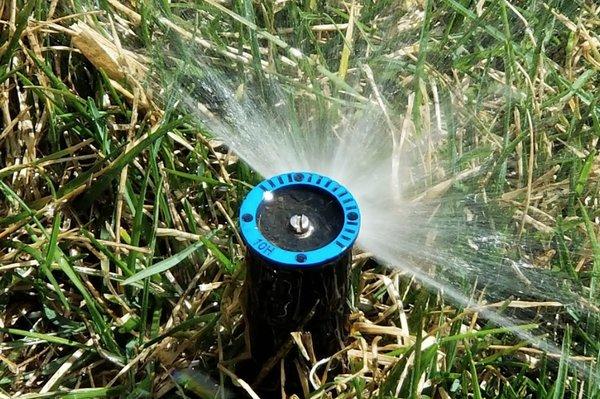 Max Irrigation