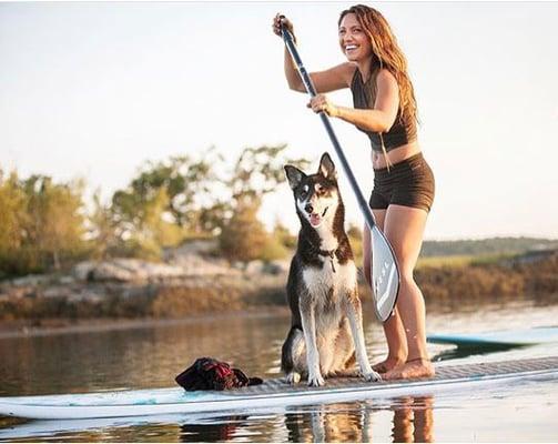 dog paddle board paddle surf warehouse VESL