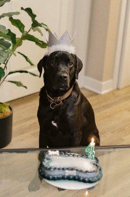 Bolt's birthday!