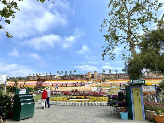 Entrance to Flower Fields from Armstrong store