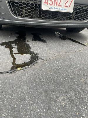 Oil + coolant leak