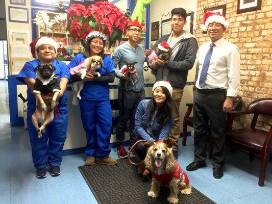 Staff + staff pets during our Christmas 2017 photoshoot!