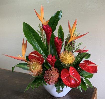 Vibrant Tropical Flowers!