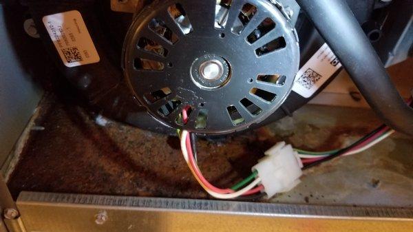 Improperly installed and leaking Draft Inducer Motor