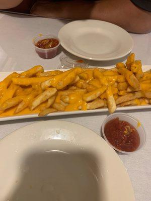 French Fries with Cheddar Cheese Sauce. Very good.