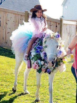 Fairy Tale Unicorn