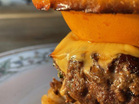 Miso Hamburger, captured during the golden hour on a lovely springtime evening.