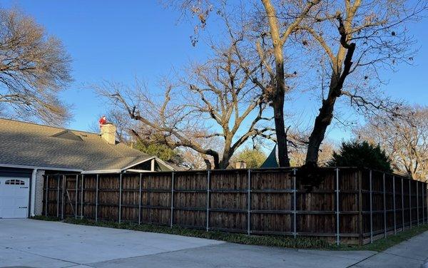 Very happy with our Top Quality Fence! This photo taken 4 1/2 years after installation.