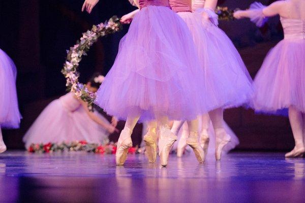 Minnesota Ballet School