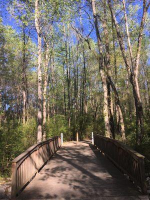 One of the many bridges