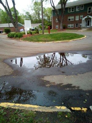 Puddles in parking lot