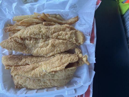 Large Catfish filets