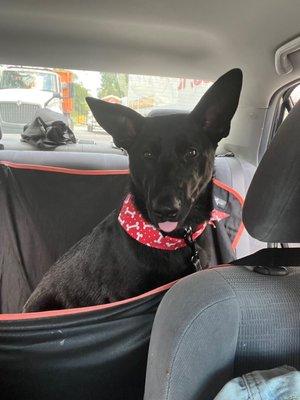 Reyna and her bandana