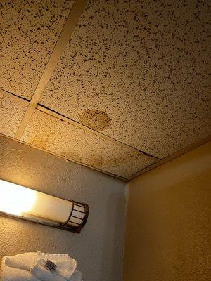 Stains and water leaks in the ceiling