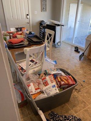 Old dishwasher left in kitchen and food left without a fridge and freezer