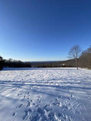 Rice Nature Preserve