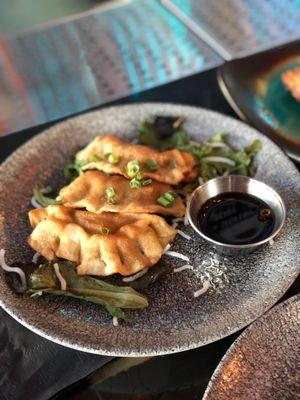 HH Deep Fried Chicken Potstickers