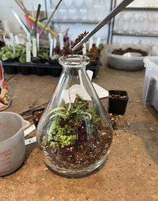 Build your own terrarium