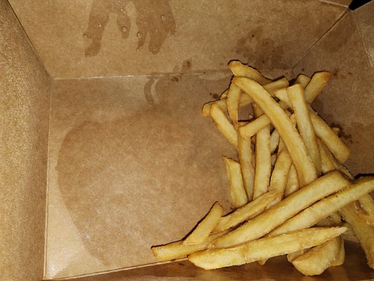 These are the fries I received. For a $15 burger and fries? Sheeeeesh