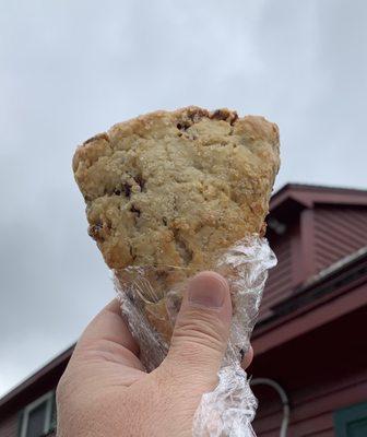 Orange Cranberry Scone With Nuts