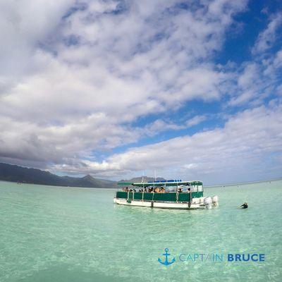 15 minutes boat ride from the Heʻeia Kea Boat Harbor. We arrive at the sandbar, a shallow area that spreads out off the coast of Kaneohe Bay