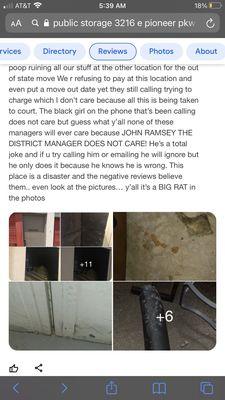 Google Review of rat and mold damage and lack of communication