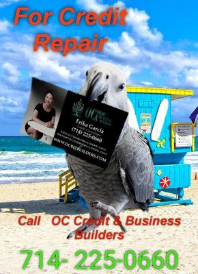 Need Credit repair