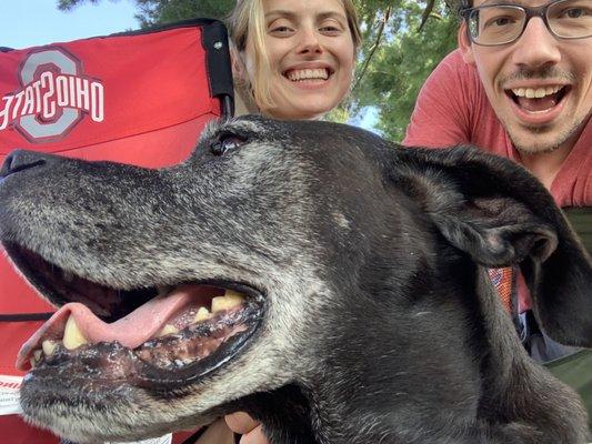 Auggie the camp dog! Sweet old boy!