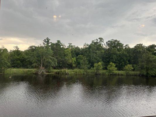 View of the bayou from the dining room window