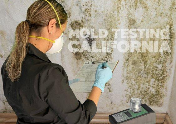 Mold Testing California