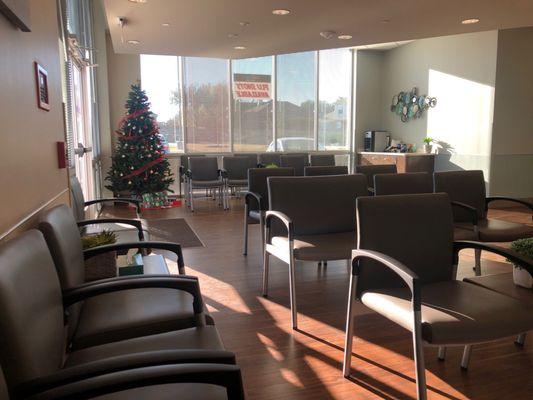 Waiting room, lots of chairs and a Christmas tree