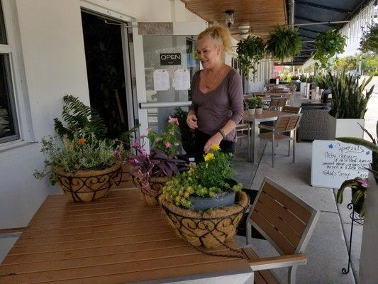 Live fresh garden plants being watered.