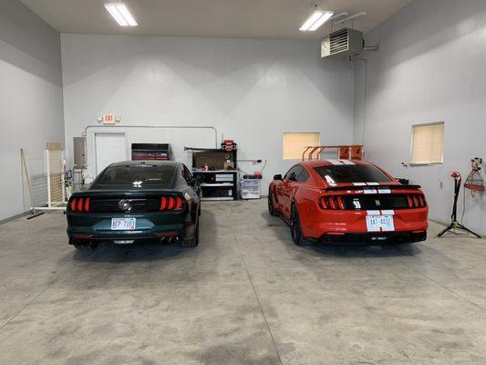 Mustang bullet and mustang shelby GT 350