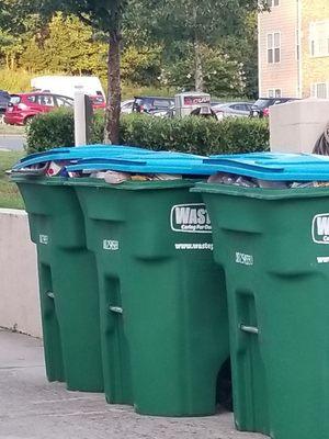 Overflowing Recycling Bins near Mailboxes