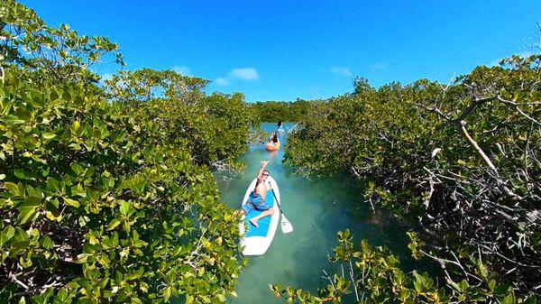 paddleboard tour in key west