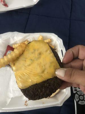 You can see from the pic that the burger was burnt