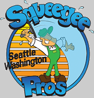 squeegee pros window cleaning