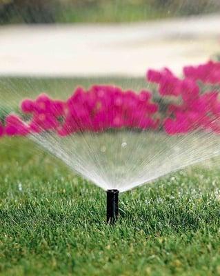 Davidson Landscape & Irrigation Inc.