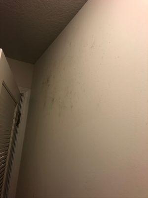 This started seeping from our walls and they just covered it with paint as the fix