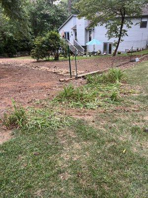 Directly through the flower bed.  Like they were aiming for it.