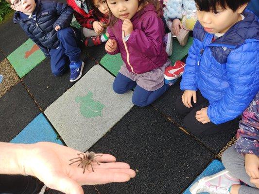 The Beetlelady visited us in Jan 2020! The kids even touched some creepy-crawlers!