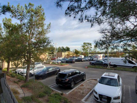 The parking lot is full and the line to vote wraps around the corner