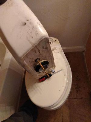 Replacing screws, wash ring, toilet install