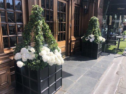 Topiary tree with white hydrangeas